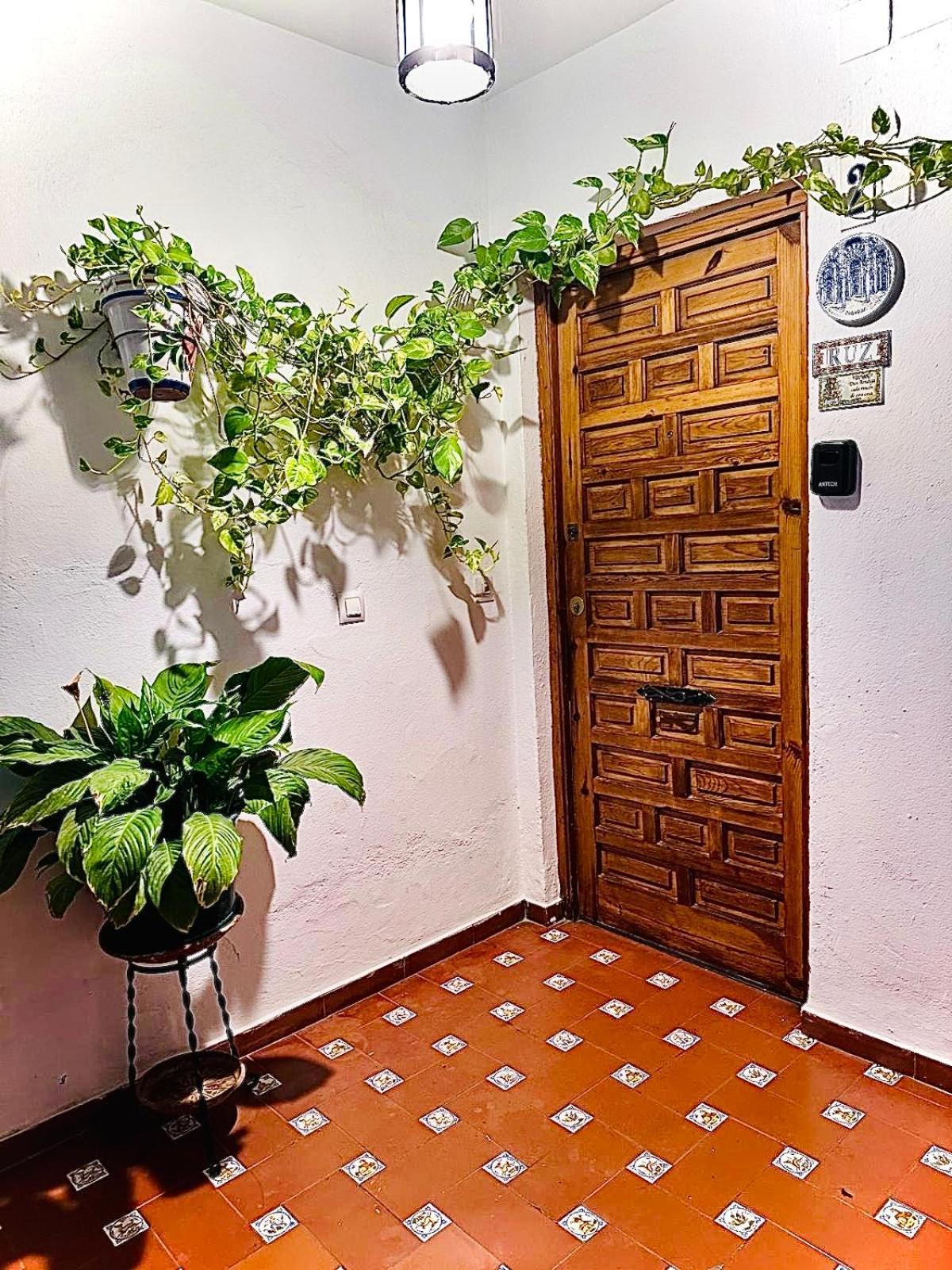 Apartamentos Ruz Cordoba Dış mekan fotoğraf